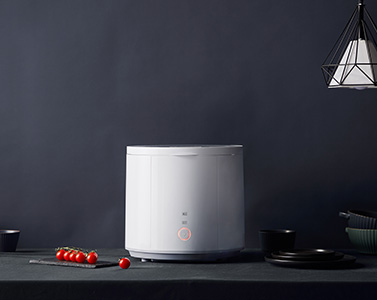 STY06臺式果蔬清洗機