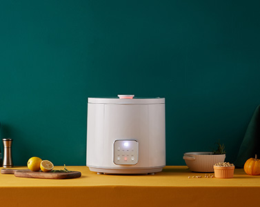 STY06E他說果蔬清洗機 食材凈化機