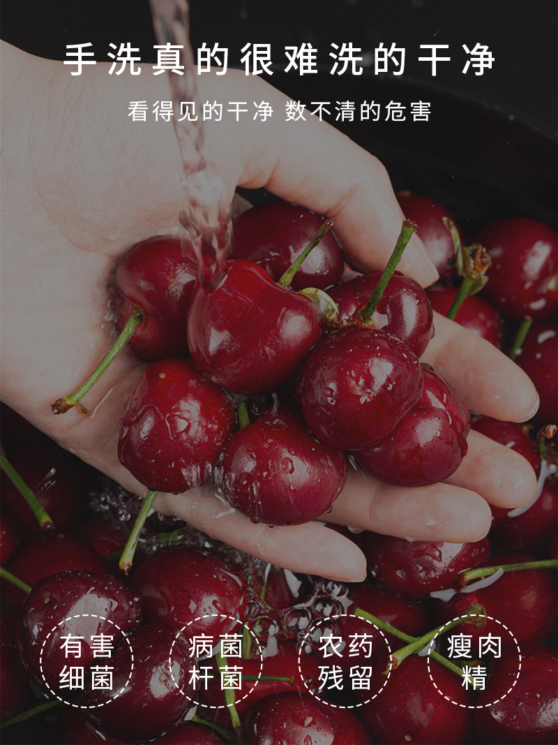 STY05果蔬清洗機_2