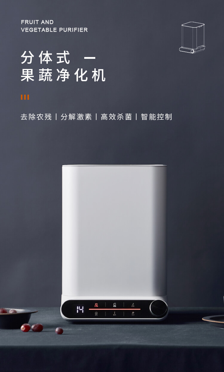 果蔬凈化清洗機