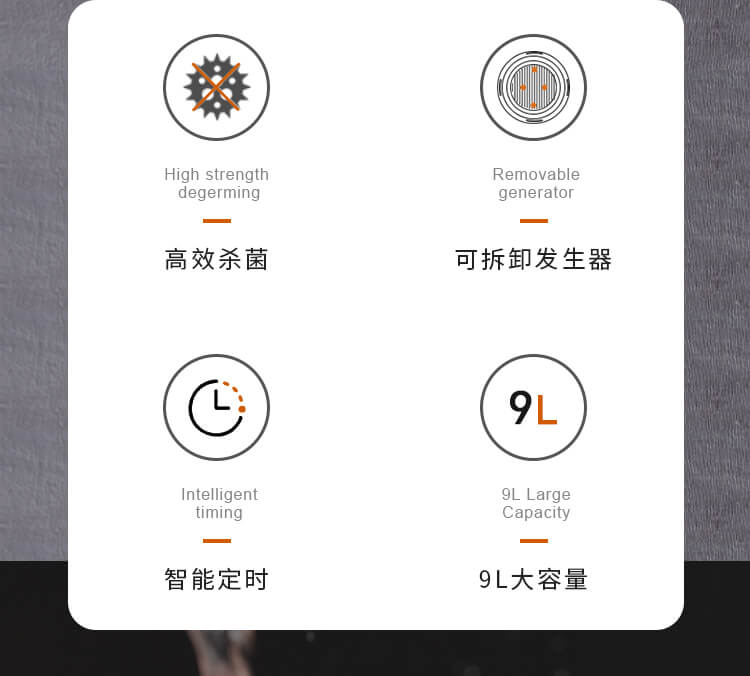 果蔬凈化清洗機_1