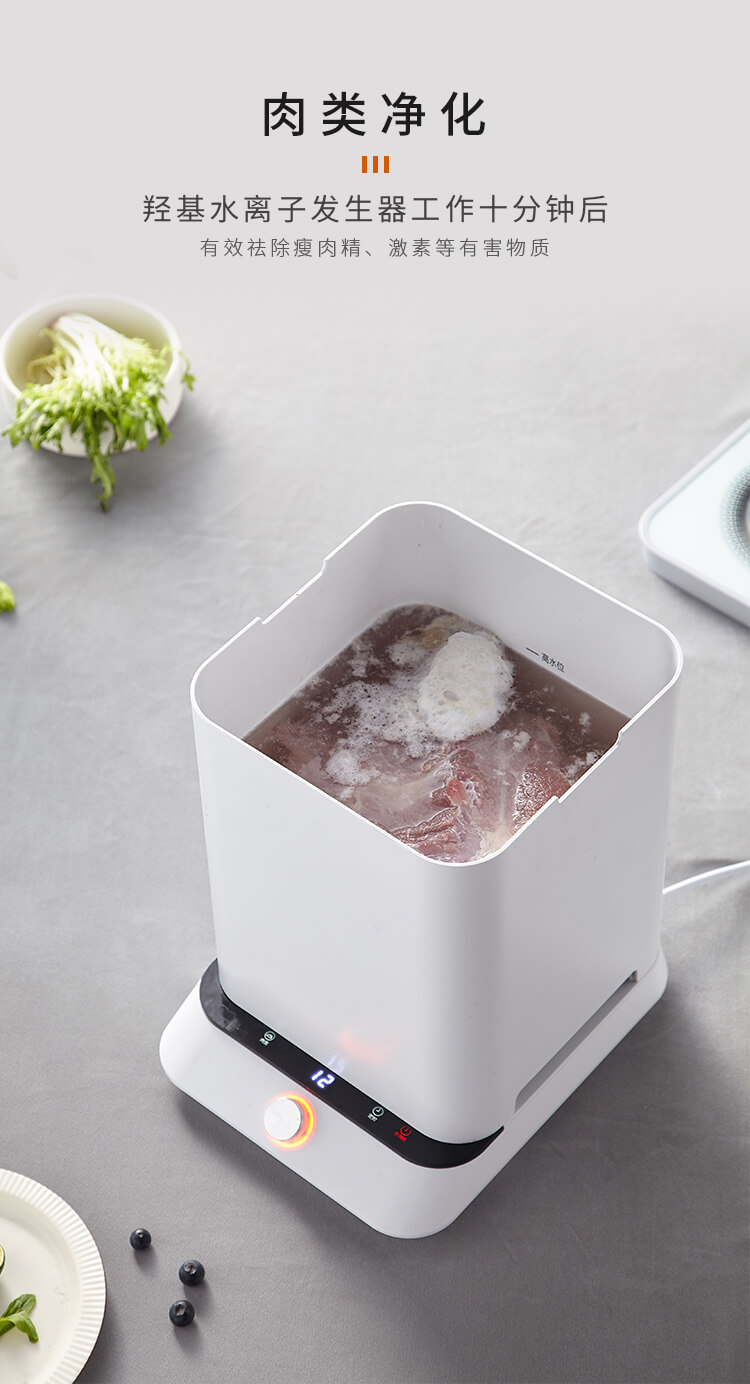 果蔬凈化清洗機_5