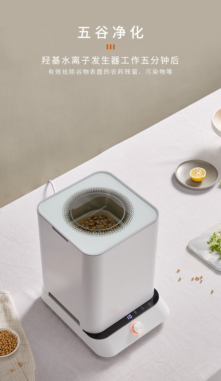 果蔬凈化清洗機_6