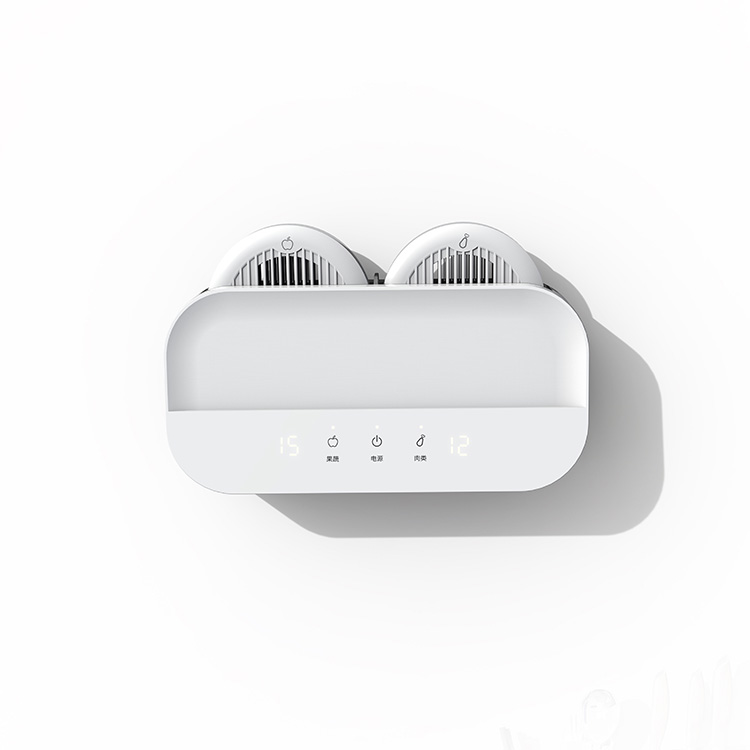 雙凈果蔬清洗凈化機